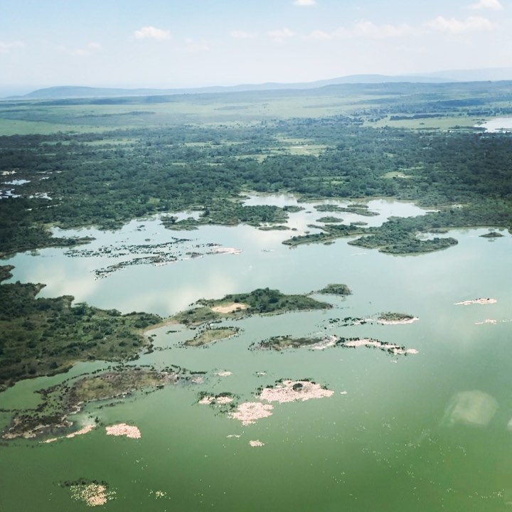 Perspective changes everything - flying over the Aberdares, into the Great Rift Valley, down to Soysambu. The pale patches on the lake are in fact large flocks of pink flamingoes 🦩