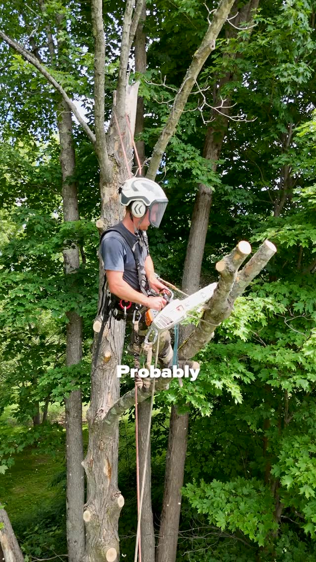 Us looking at rival crews like-
.
.
.
.
#belangertreecare #arborist #arboristsofinstagram #skowhegan #skowheganmaine #forestry #chainsaws #centralmaine #mainebusiness #treecare #treecarebusiness #treeclimbers #logging