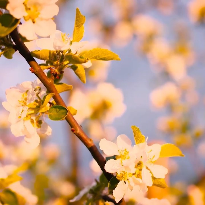 Hooray Spring is here! Do you know that Mother’s Day is coming up next! How will you celebrate your mum? Wouldn’t she love a photo of YOU?Follow the link in bio to get £5 off your first order👍
.
.
.
#personalisedgiftidea
#photojewellery
#oneofakind
#ideasformum
#howcanicelebratemum
#photogem
#bespokegiftideas