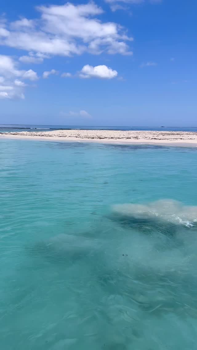 Sunday sunsets, sweet reggae, and Kingston views that hit different 🌅🎶 #JamaicaWithJ #KingstonDubClub #SundayVibes