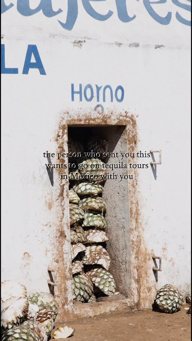 the person who sent you this wants to go on tequila tours in Mexico with you- but, until the trip leaves the group chat, take a tour of our flavor infused tequila. you’ll find 100% blue agave, natural infused flavors, and no-tequila-face 🎟️ no passport required!
#tequila #tequilatour #mexico #travel #tequilatime #tequilajalisco #madampaleta #findyouradventure #summervibes