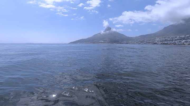 This mother and inquisitive calf approached us while we stayed still. The 12m long calf got closer and closer, eventually resting its head on the kayak and started to play, including seeing how high it could slowly lift us out the water #southernrightwhale
I don’t suggest getting this close or ever approaching whales but it happened on its own and we backed off as it happened.