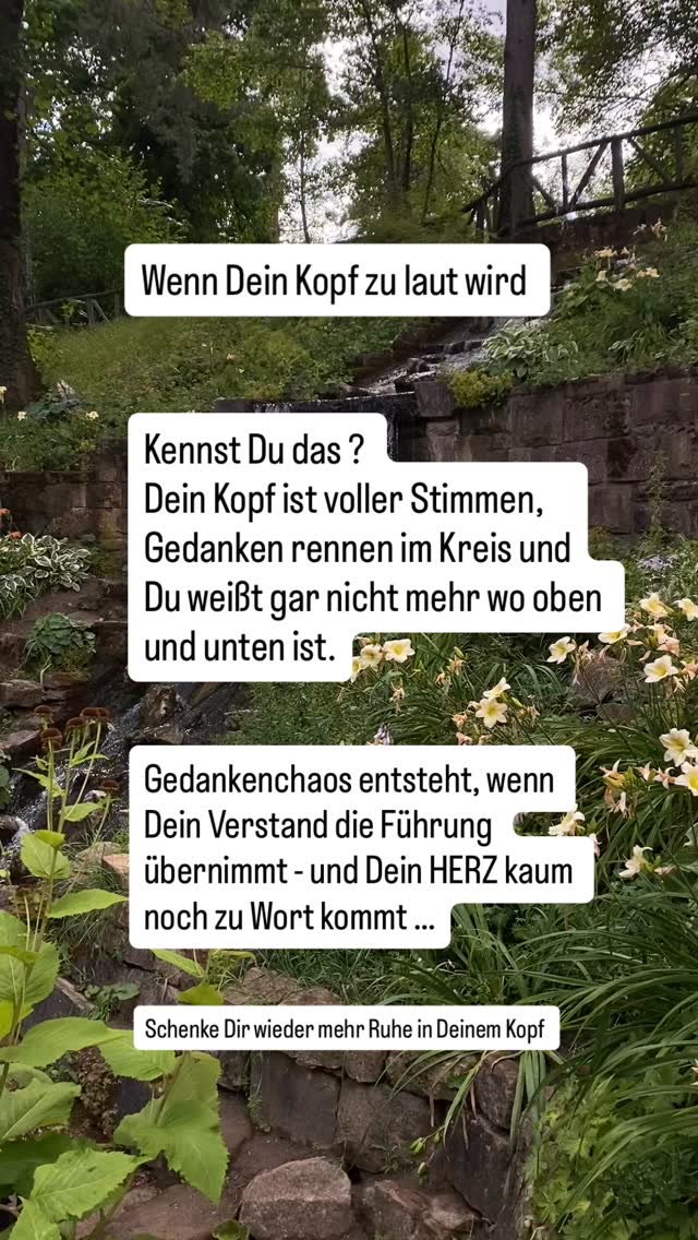 WAS, wenn Dein Kopf einfach mal Pause machen könnte ?
Manchmal fühlt sich unser Kopf an wie ein -zu voller Browser- zu viele Tabs offen- zu viele Gedanken gleichzeitig.
Die Access Bars ®️ Methode ist wie ein sanfter Reset Button für Deinen Verstand.
Durch das Berühren bestimmter Punkte am Kopf können sich alte Gedankenmuster lösen..und dann wird es angenehm still. In dieser Stille findest Du nicht nur Ruhe, sondern auch neue Möglichkeiten.
Wie würde sich Dein Leben anfühlen, wenn Du wieder mehr Leichtigkeit im Kopf hättest ?
Mehr Infos dazu ?
Folge mir für mehr Klarheit
@klarheit_im_herzen
#accessbars®
#entspannung
#loslassen
#leichtigkeit
#ruheimkopf
#klarheit
#stressbewältigen
#alltagsstressbewältigen
