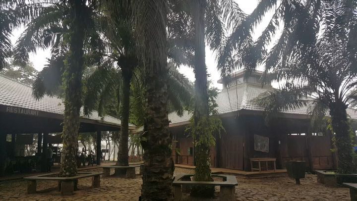 When you hear the rainstorm before it arrives ☔🌿
#Ghana #travel #GhanaianRain #summerstories #rainstorm #ourworld #rain