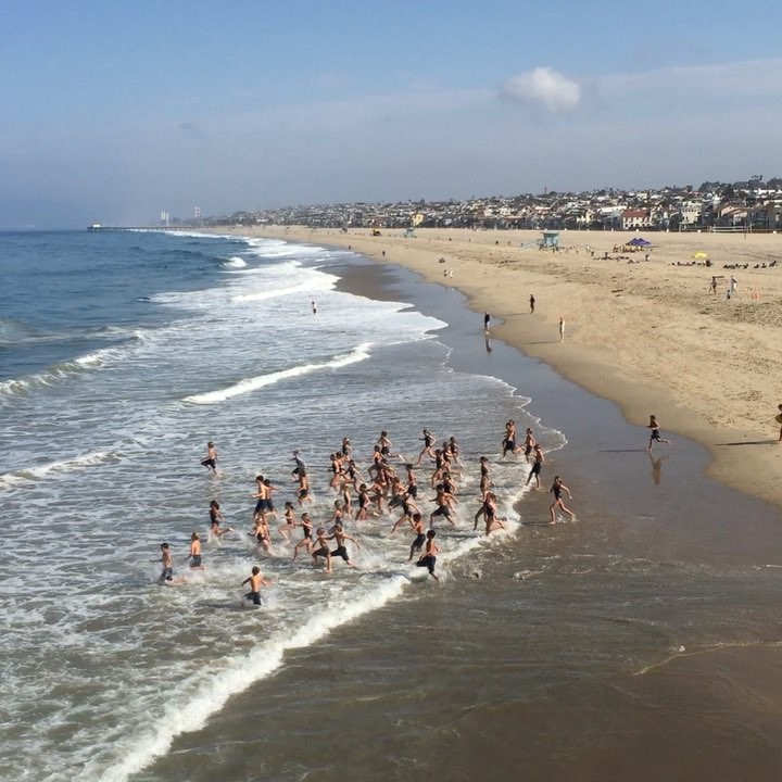 Only in Hermosa. So proud to watch these JGs swim around the HB Pier today. Love this little town. #onesqmile #hermosabeach #socallife