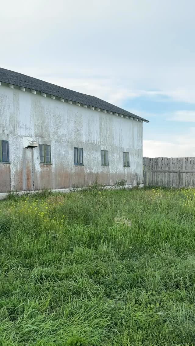 Snippets of the farm…so grateful.
#farmtwo53 #farmlife #farm #farmanimals #permaculture #homestead #homesteading #farmstead #barn #pond