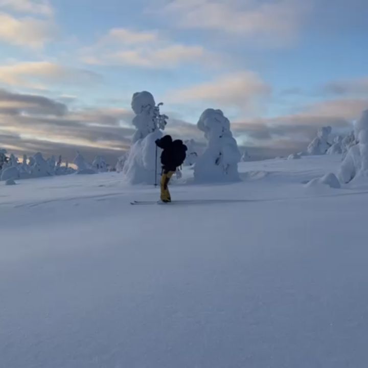How's your Monday? Or is it already Wednesday? It's so easy to loose the track (of time) here. I'm always happy to take guests here. And I guess it's as fun for them too.
@posiolapland #lapland #riisitunturi #skinbasedskis #winterwonderland #winterisbeautiful #snow