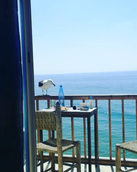 #taghazout #morocco #agadir #surf #anchorpoint #taghazoutbeach #moroccotravel #moroccotrip #surftrip