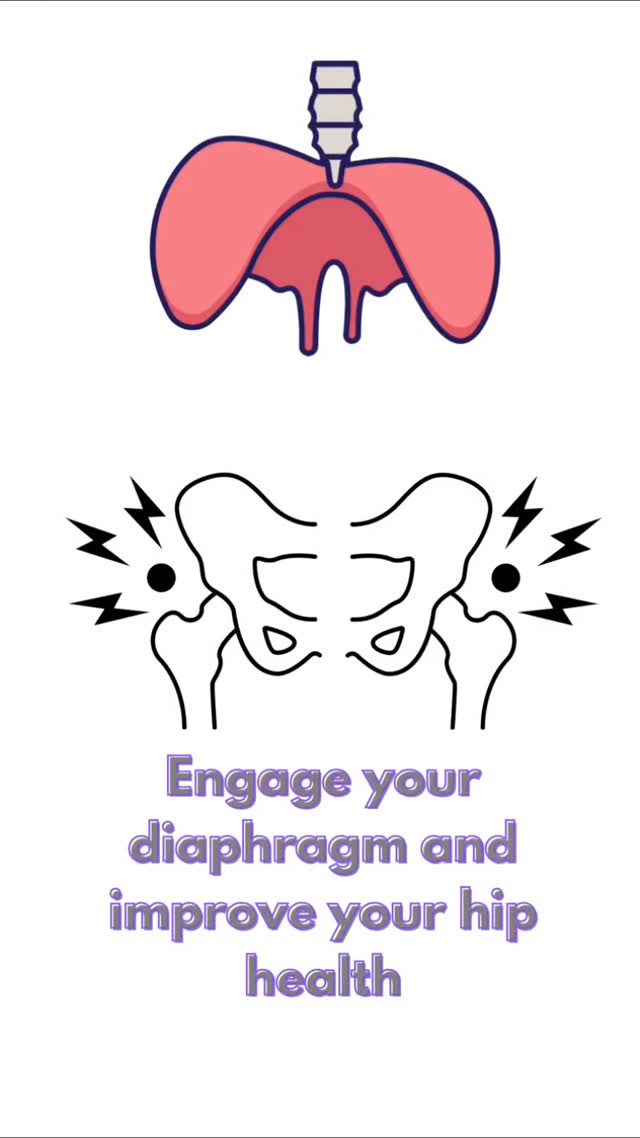Hip health is intrinsically connected to your ability to breathe well and breathe deep. Which means your ability to engage your Diaphragm to take deep breaths without straining your neck, chest and shoulders is an important tool to help improve your hip mobility and strength. Try out the exercise show at the end of this video to help with that.
Feeling pinching in the hip? Try this breathing exercise before beginning hip mobility and strength.