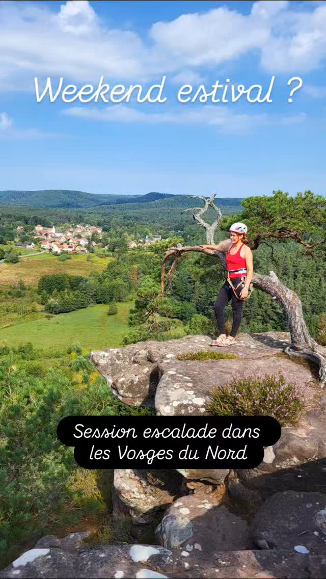 Nul besoin d'aller loin pour se dépayser 🤩
Direction le nord du Bas-Rhin, pour un bain de forêt loin de la foule !
Allons jouer dehors ! 🌲
#vosgesdunord #weekendalsace #jaimelaforet #allonsjouerdehors