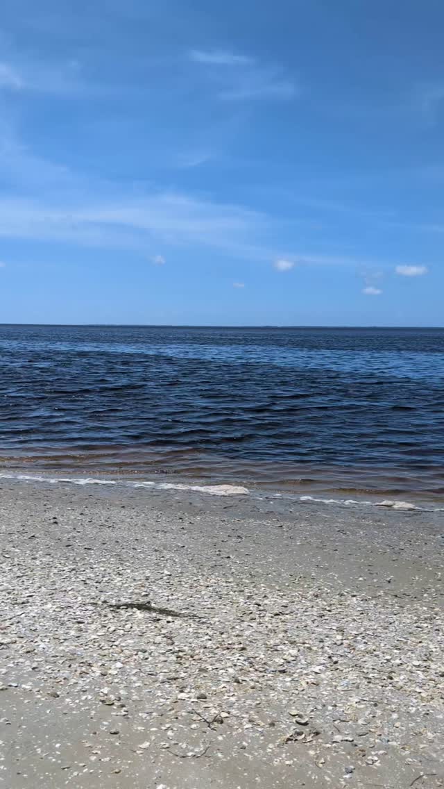 A little moment of peace to share with you. ❤️ Finally got a day to take the kids to a beach near Tallahassee!