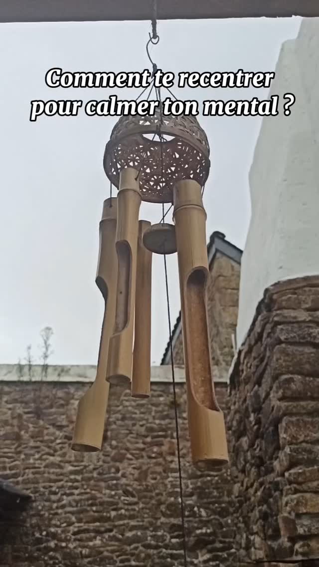 Il y a des jours où l’on n’a pas besoin de mots.
Juste sentir le corps…
…dans sa lenteur,
…dans sa sagesse,
…dans son souffle.
Tai Chi dans l’herbe mouillée.
Thé chaud entre les mains.
Silence vibrant à l’intérieur.
Tu vois, ce n’est pas juste une pratique.
C’est une rencontre.
Avec ton énergie vitale.
Avec ton Chi.
Chaque geste est un murmure.
Chaque pause, une offrande.
Et si la vraie force, c’était ça :
la patience d’être là, sans forcer ?
✨ Revenir au dedans
✨ Écouter le rythme invisible
✨ Honorer le vivant qui circule
Et toi, comment tu ressens ton énergie aujourd’hui ?
Partage-le en commentaire 🌀
#Chi #TaiChiSacré #ÉnergieIntérieure #CorpsTemple #PrésenceConsciente #ÉveilAuCœurDeSoi