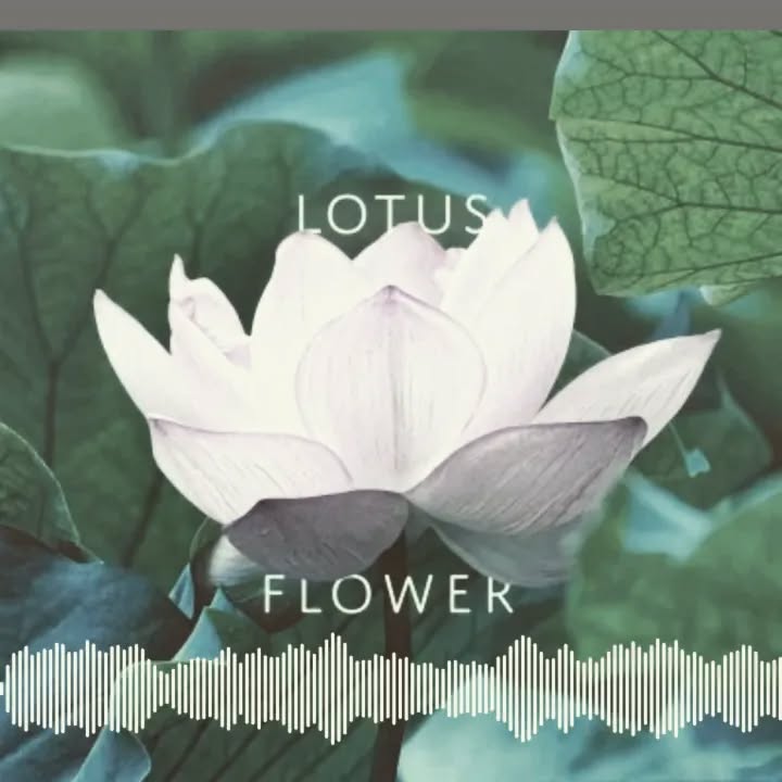 Just released through @audionetwork , a new album of Chinese fusion written for TV and media. Composed with the fantastic @lingpeng55 on Erhu and @maxgittings_ on woodwind the album also features playing from @glenngtrsharp on guitars, Jennie Zhan on Pipa and Wendy Sui on Guzheng.
#musicformedia #musicfortvandfilm #musicproduction #musicforfilms #audioproduction #syncmusic #pipa #guzheng #chinesefusionmusic