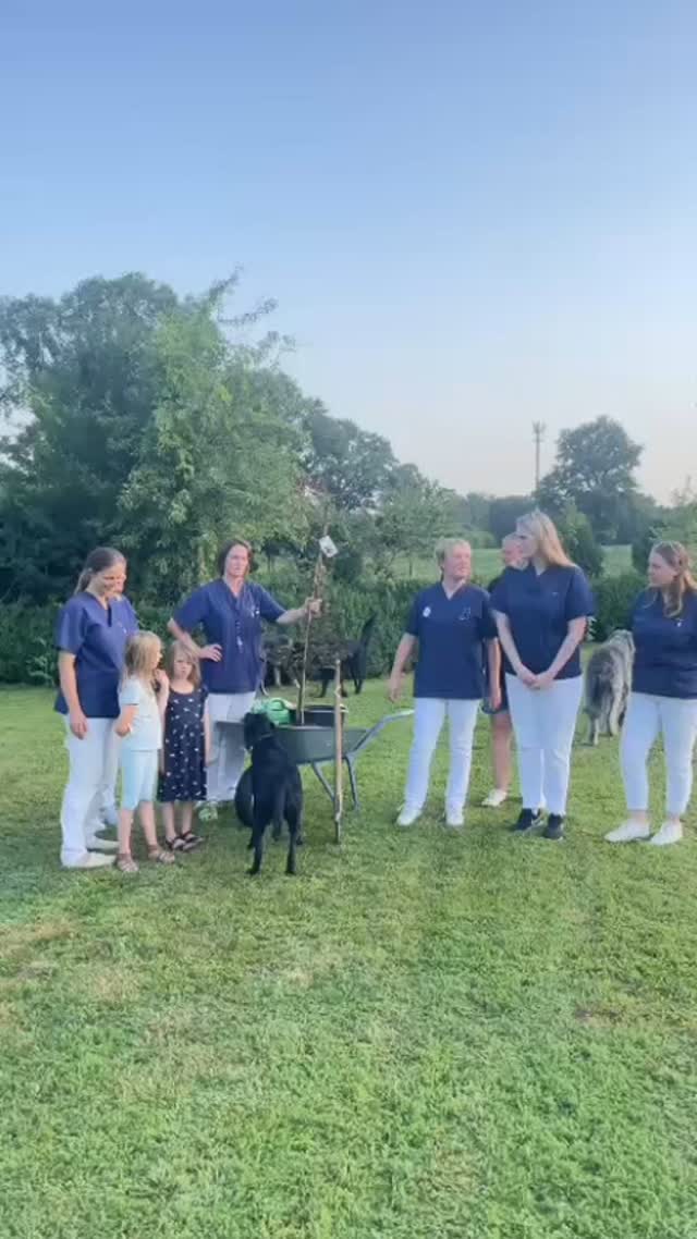 Der Gesangverein Döhlen hat uns nominiert, einen Baum zu Pflanzen. Wir sind dem natürlich nachgekommen und haben eine schöne Rotbuche gepflanzt, wie man sieht, mit tatkräftiger Unterstützung unserer Hunde. 🐕🌳
Wir nominieren:
Das Tiergesundheitszentrum Oldenburg Dr. Vick und Dr. Kopp @tgz_oldb
Die Kleintierpraxis Dr. Petra Wirt in Oldenburg @kleintierpraxis_wirth_ab2025
Und eine Humanmedizinische Praxis in Bremen
Dr. Ostermann, Dr. Ostermann, und Dr. Schultz-Wildelau.
https://www.gröpelingen115.de/#gbp
Wir bitten euch, innerhalb einer Woche einen Baum zu Pflanzen, wenn nicht, dann freuen wir alle uns auf ein schönes Grillfest!
#baumpflanzchallenge
#oldenburg
#Tierarzt