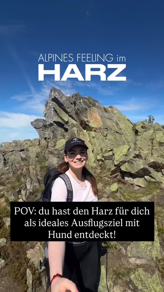 🎥🐾 Pfoten-Abenteuer im Harz!
@champagnepawblems macht es vor und führt euch in diesem Video auf die Wolfswarte!
Weitere Ausflugsziele könnten sein:
🌲 Wanderung durch den Ilsetal-Zauberwald
💧 Stopp am Radau-Wasserfall
🚂 Brockenbahn mit Hund – Highlight!
Lust auf mehr Harz-Inspo? 🎒✨
👉 Alle Tipps im Blog – Link in Bio!
#harzmithund #hundeurlaub #wandernmithund #pfotenabenteuer #harzliebe #traumhundeurlaub #hundeglück #reisenmithund #dogtravel #urlaubmithund