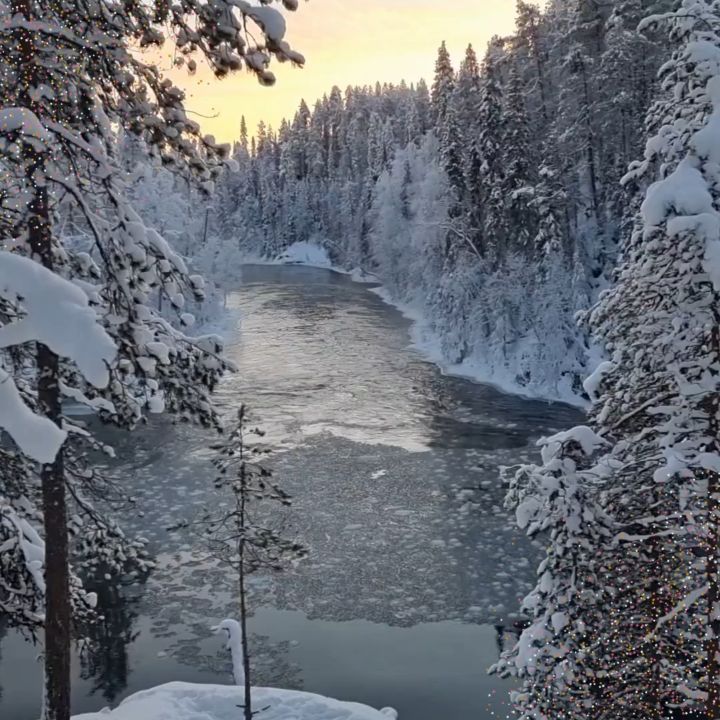 Merry Christmas from Kuusamo! If you've already been my guest in Oulanka National Park, you probably recognise this view. The winter nature is calm and beautiful, river flows as usual and the ice revolves around its eternal circle. 💙❄