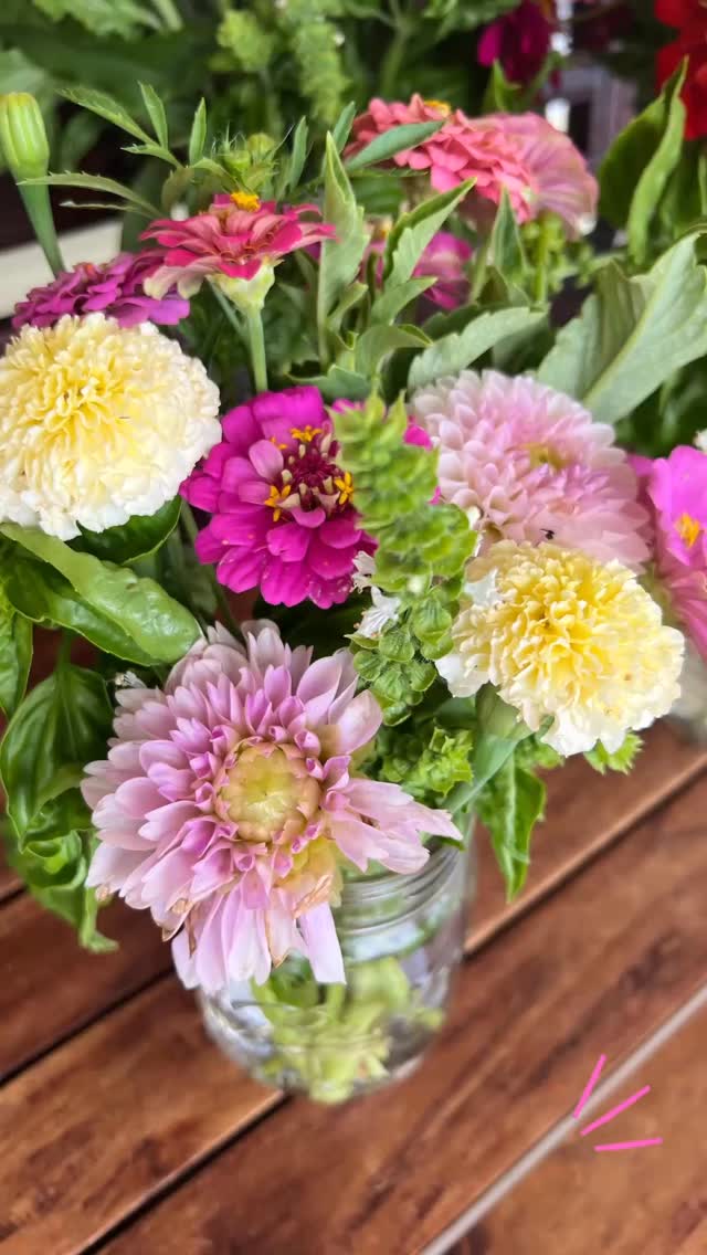 Bloom into the weekend! 🌸 Fresh flowers this Thursday, Friday & Saturday from 11–6. Come pick your perfect bunch! #FreshFlowers #FlowerLove #BloomAndGrow #FarmFreshFlowers #FlowerJoy #WeekendBlooms #LocalFlowers #flowerhappiness