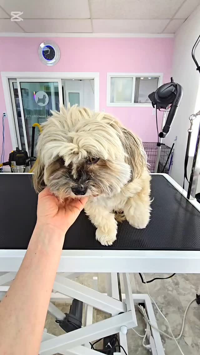 #tsawwassen #ladner #tsawwassenmills #ladnervillage #tsawwassenbc #ładnerzeczy #tsawwassenisawesome #ladnerrealestate #tsawwassenisawesome #ladnerzeczy #tsawwassenphotographer #ladnerrealestate #tsawwassensprings #ladnervillagemarket #tsawwassentowncentremall #ladnerbc #tsawwassencommons #ladnerbusinessassociation #tsawwassenfirstnation #ladnerbusinessassociation