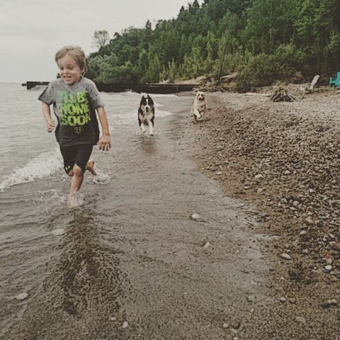 Cottage Aussies! #dogstagram #ausableriveraussies #aussiesofinstagram #Lainey #Harlan #aussiesofig #australianshepherd #dogs #dogsofig #beachdogs #bayfieldontario #grandbend