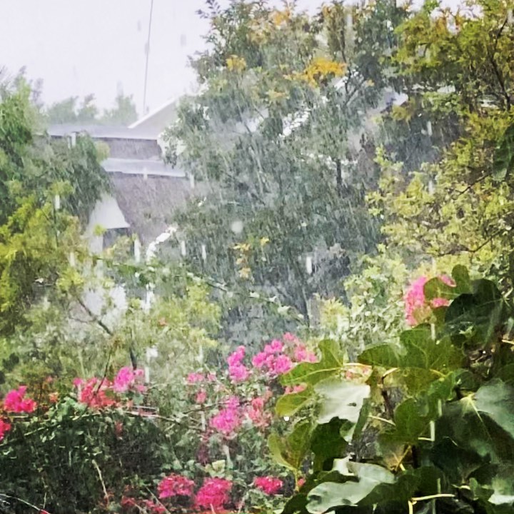 🎵It’s raining again 🎶
#thundershower #rivergladesestate #raining