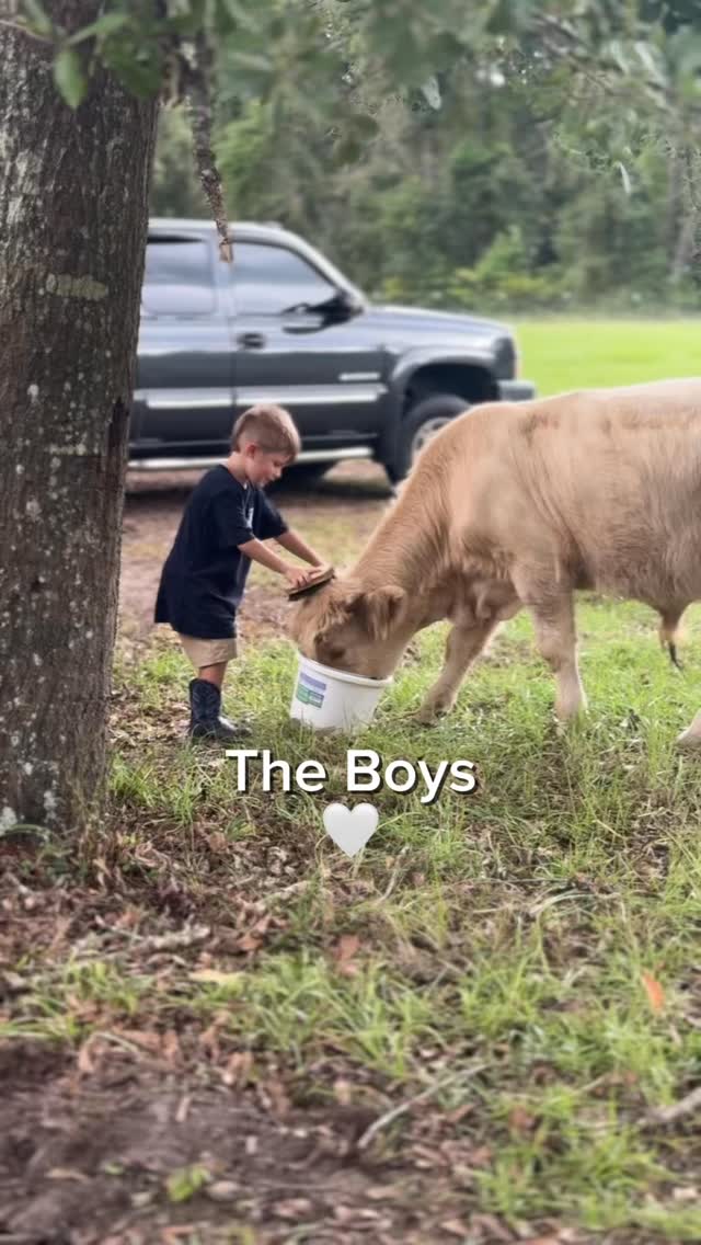 THE BOYS OF
🌾 RMR RANCH 🚜
#highlandcows #microminicow #cowstagram #cowsofinsta #minicowsofinstagram #minicows #minihighlandcow #minianimais #minidonkey #farmhouselife #farmlifebestlife