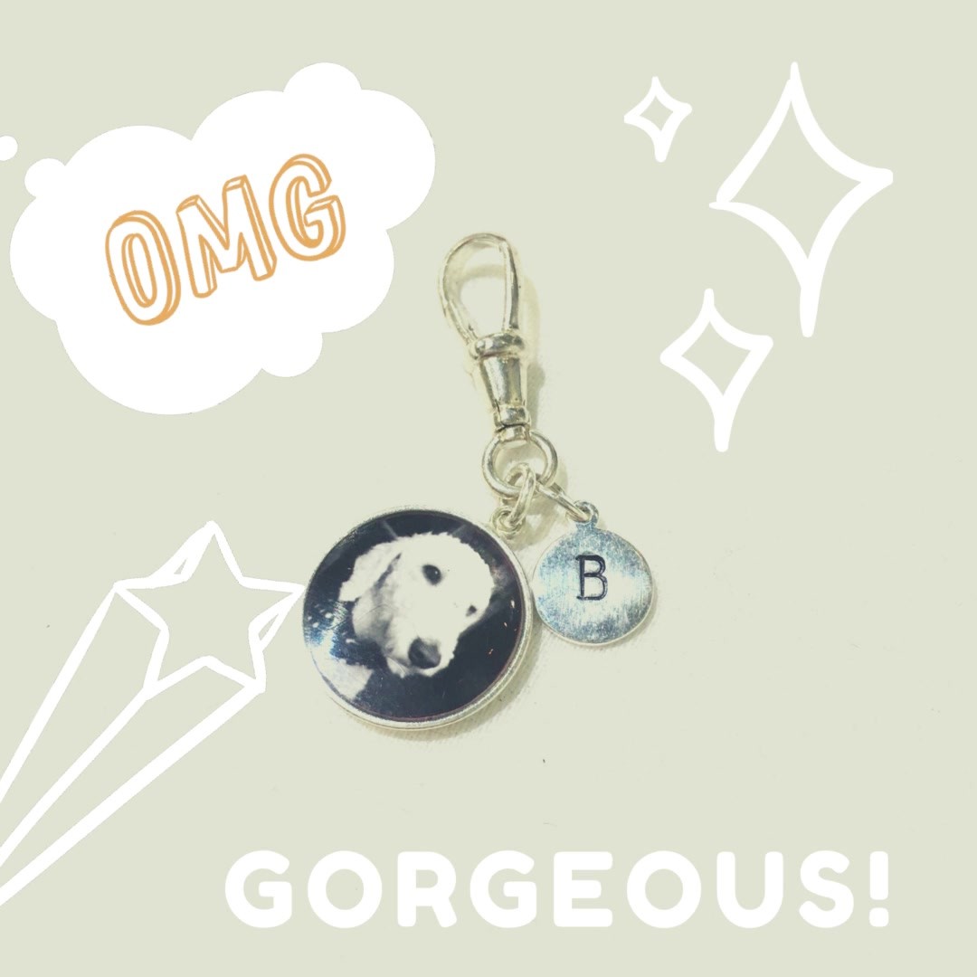 My owners are so in love with me that they carry me everywhere! Personalise your tag now at https://photogem.co.uk/.../dog-collar-bag-accessory-with...
.
.
.
#dogcollarshop #idfordogs #identification #findmyowners #bagtag #personalisedbagtag #bagtaggift #photogem #bagattachments #bagaccessories