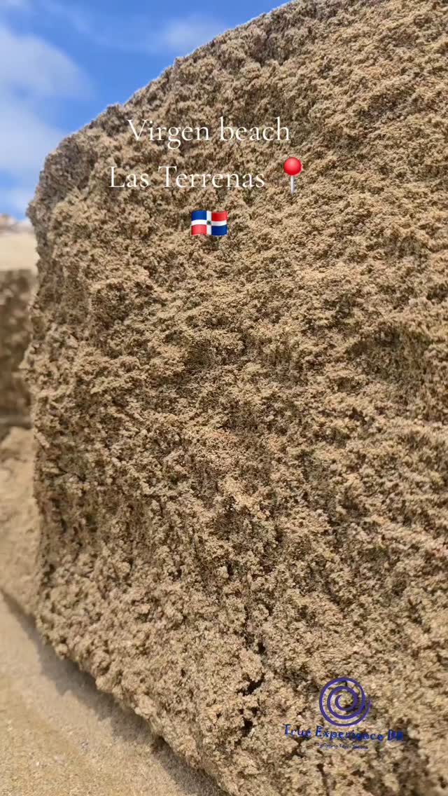 Discover a perfect place to create memories. Not the most known but surely the most beautiful.
#LasTerrenas #samana #dominicanrepublic #fyp #wecreatememories #luxuryboat #beachtime #gosamana #fyp #experience_creator #goviral #igreel