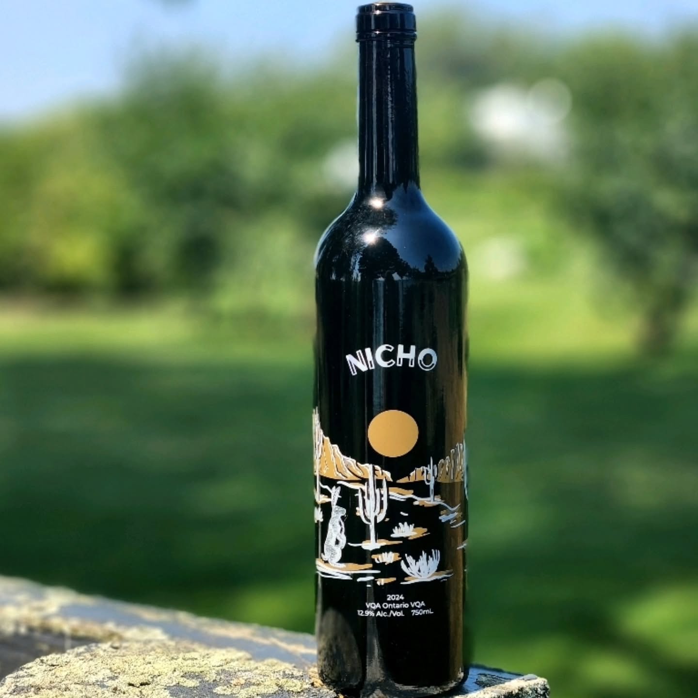 Sometimes, happy accidents lead to something truly special.
Over 15 years ago, Dionicio came to work at Waupoos and quickly became like family. One fateful year, he took out a row of Muscat vines—and in a twist of fate, our GM accidentally ordered Marquette to replace them. Rather than undo it, we embraced the moment and welcomed a new varietal into our vineyard.
Our Nicho Marquette is more than just a new wine—it’s a celebration of dedication, hard work, and family. Dionicio and our incredible offshore team have been part of our story for more than a decade, and their commitment is woven into every bottle. This first vintage of Nicho is for them and for the moments that turn mistakes into magic. 💛
@pecwine