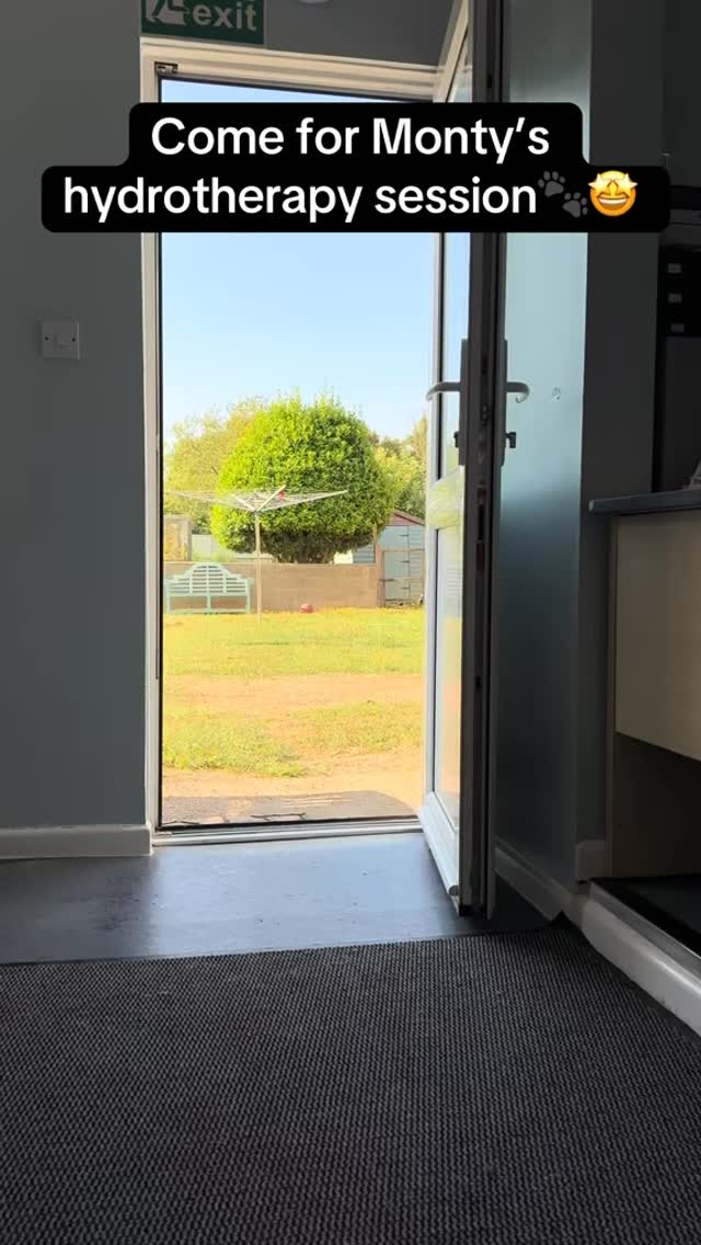 Handsome Monty❤️🤩