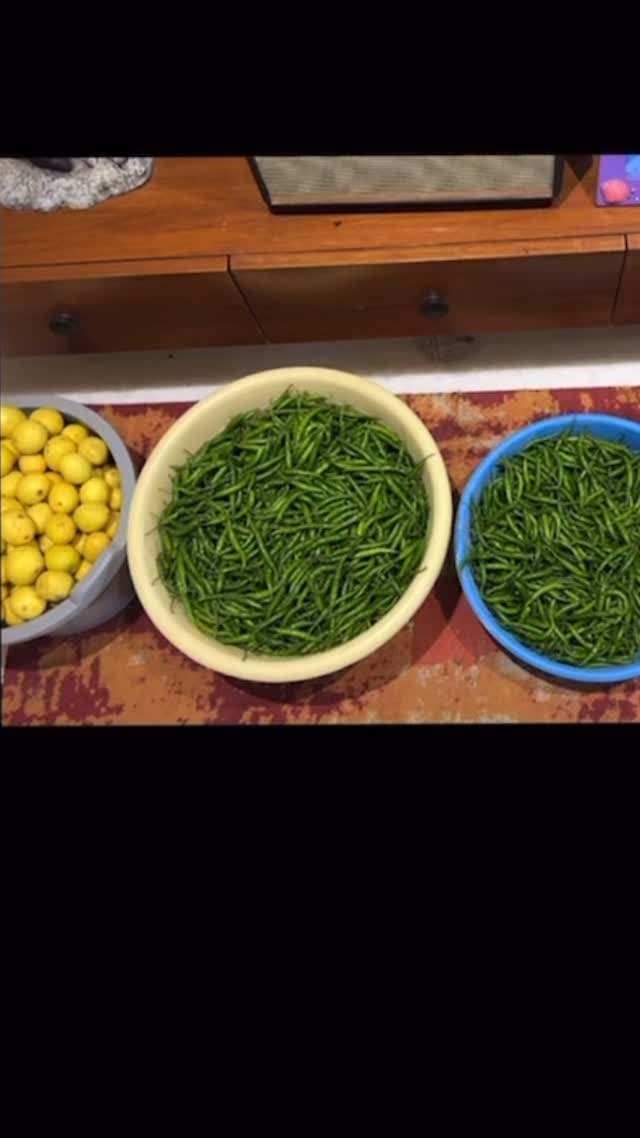 Made using spicy green chillies and farm grown native spices.
This pickle is handmade in small batches using pure cold pressed mustard oil in traditional Bharnis (ceramic jars) using lacto fermentation techniques and does not contain synthetic or natural vinegar.
Contains seeds, The Hing may contain gluten.
It is best before 6 months from the date of packaging.
Benefits:
1. Metabolism Boost: Green chillies contain capsaicin, which may help boost metabolism and promote weight loss.
2. Rich in Vitamin C: Green chillies are a good source of vitamin C, supporting immune system function.
3. Digestive Aid: The spiciness in green chillies can stimulate digestion and alleviate indigestion.
#smallbusinesspackedwithlove #seasonpickles #chilly #picklespicklespickles