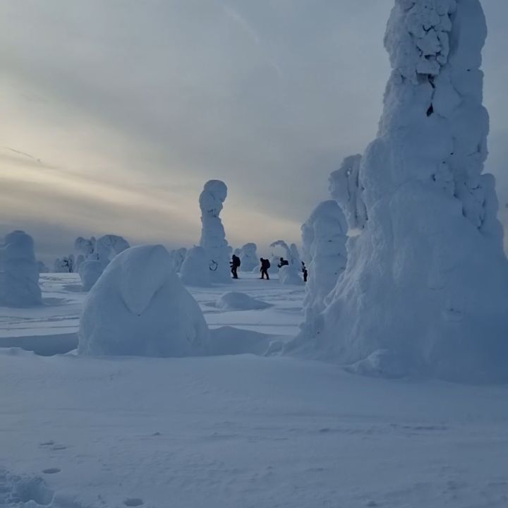 What a wonderful week and amazing group we had! Meters of snow, beautiful scenery, great moments, laughter, funny stories, and perseverance and determination to always climb the next fell.
See you next winter!
#snowshoeing #winterwonderland #kuusamo #posio #oulankanationalpark #riisitunturinationalpark #iivaara #valtavaara