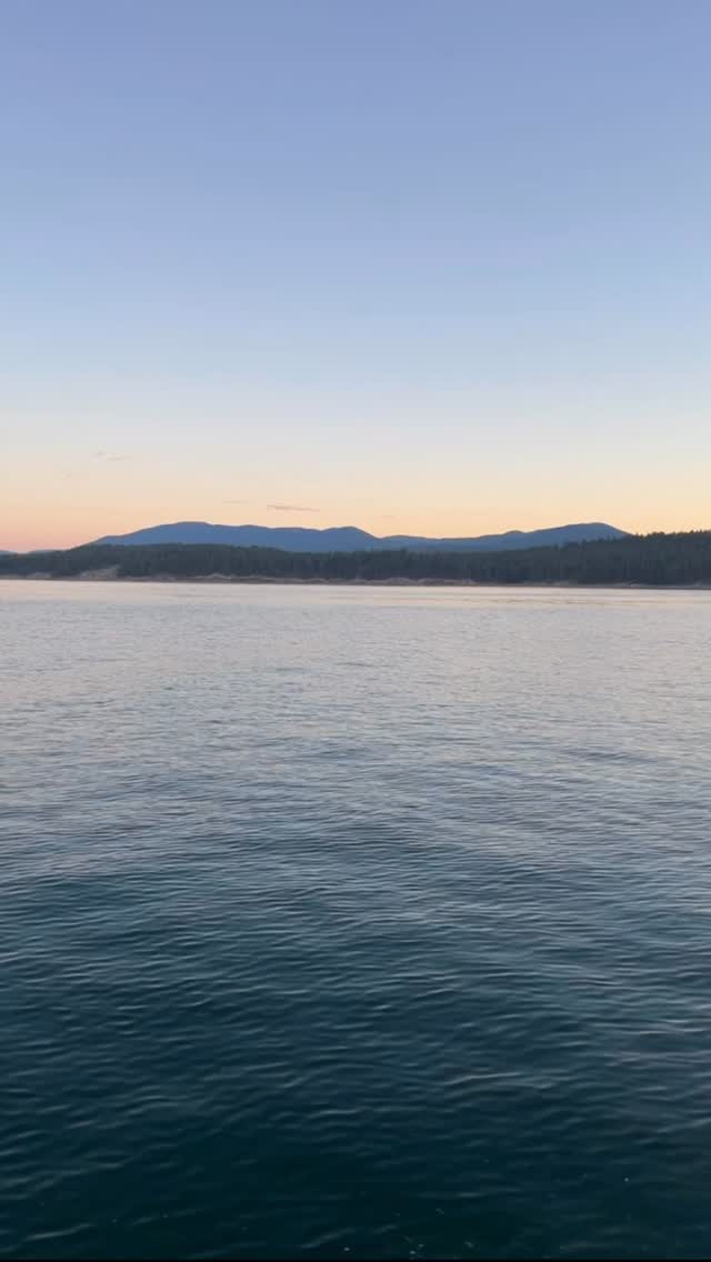 Another amazing Ladies Making Waves session in the books! 🏄♀️ Some of these rockstars join us every week, others pop in for a single ride, but every time it’s all smiles, laughs, and good vibes. Can’t wait for the next one!
🤟🏻🌊
@phase5wakesurfers @shuswapsnb @canadianwakemag #p5matrix #p5aku #p5modelx #ladiesnight #ladiessurf #h2oschool #koocanusa @centurionboats