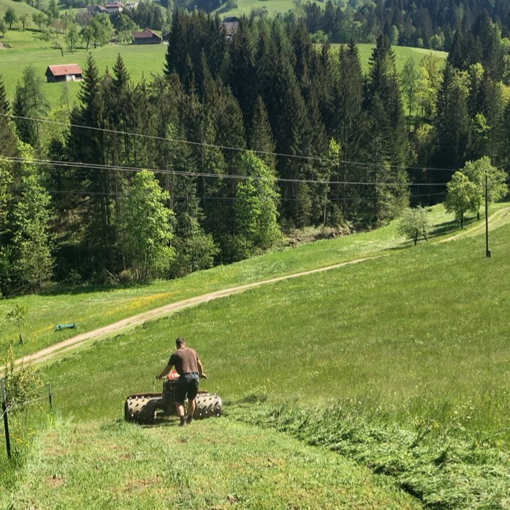 Es geht wieder los ... der Duft von frisch gemähten Gras ist #wunderbar !!! Sehen, riechen und genießen!
#hintergrabenbauer #bioaustria #österreichurlaub #austria #pyhrnpriel #urlaubambauernhof #farmwork #landwirtschaftistleidenschaft