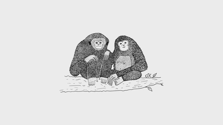 Les quiero compartir mi primer intento de canción llamada “Gibón”, fue más que todo un proyecto de improvisación donde quise mezclar sonidos tropicales y psicodélicos con un toque alterno relajante 🤪. Definitivamente es algo que quiero continuar haciendo y poco a poco estaré mostrando cosas nuevas, los invito a escucharla en el link que está en la descripción y me cuentan qué opinan! 🐒
•••
#music #gibon #effects #premierepro #design #art #illustration #blackandwhite #monkey #electronicmusic #psychedelic #garageband