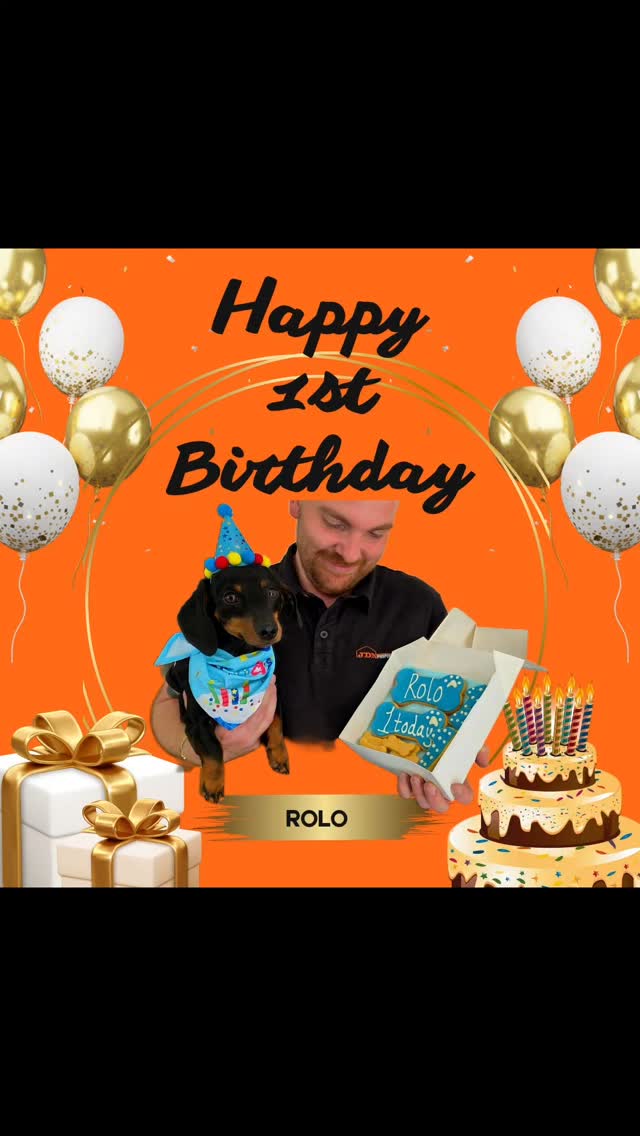 🎉🐾 Happy 1st Birthday to Rolo – Our Office “Paw-ject Manager”! 🐾🎉
Today, Rolo officially turns 1… which in sausage dog years means he’s old enough to boss us about even more than he already does.
From “inspecting” everyone’s lunch to demanding belly rubs during team meetings, he’s been keeping JDN Property Services running his way for a whole year now.
#HappyBirthdayRolo #OfficeDog #PawjectManager #SausageDog #JDNPropertyServices