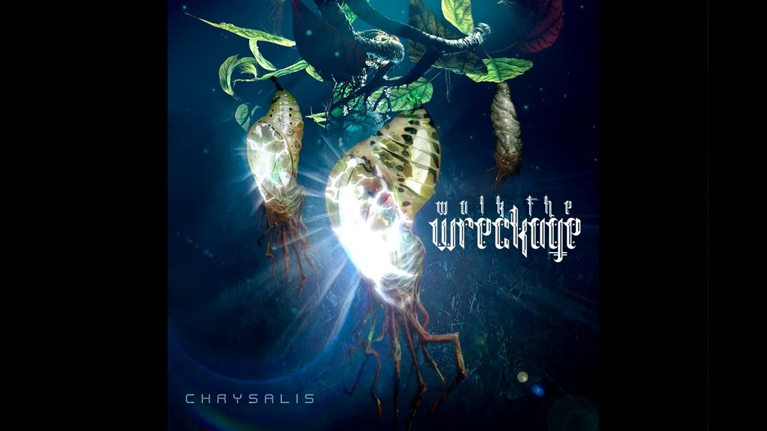 NEW Walk the Wreckage. This one is Epic! WalktheWreckage.com