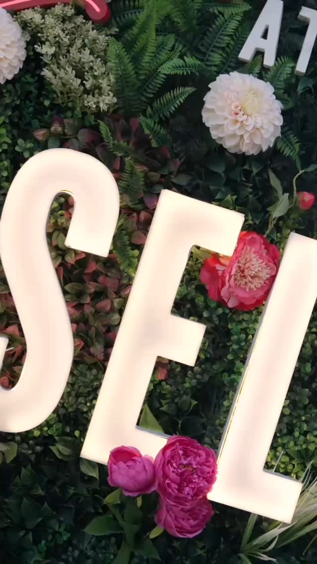 What an incredible night at Musicals Under The Stars!
Video Credit - @mdbvisuals
@robhouchen @nadim.naaman @emilymaewalker @gracemouat @michaelcollabro @esmebowdler @mrmatthenry @kerryellis79 @thebourneorchestra @gsa_musicaltheatre