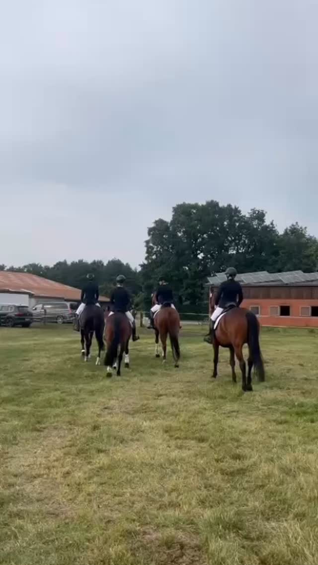 Recap der Schröder-Team-Trophy Dressur in Schloß Holte am vergangenen Wochenende 🐴 Danke an einen Teil unserer Jugend und die besten Supporter für den Zusammenschnitt dieses schönen Sommerabends! 💛