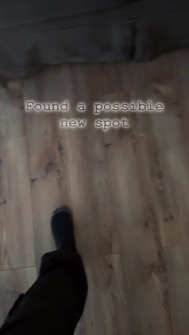 ⸻
“The marks we leave aren’t just for us.
Each one whispers to the next traveler.
Today’s dump: sigils found, and a place that keeps calling.
Maybe the next shrine is already watching us back.”
📍 Coordinates pending
🜏 Carry the Code
#CodeCarriers #SigilHunt #RhodeIslandCreatives #NewEnglandArtists #ArtInTheWild #HiddenShrines #SymbolicJourney #CreativeExplorers #CommunityThroughArt #AlternativeSpaces #OutdoorArtInstallations #TheNextShrine #VisualStorytelling #CrypticCreatives #fyp #squad4ourlife #movinartistsmarket