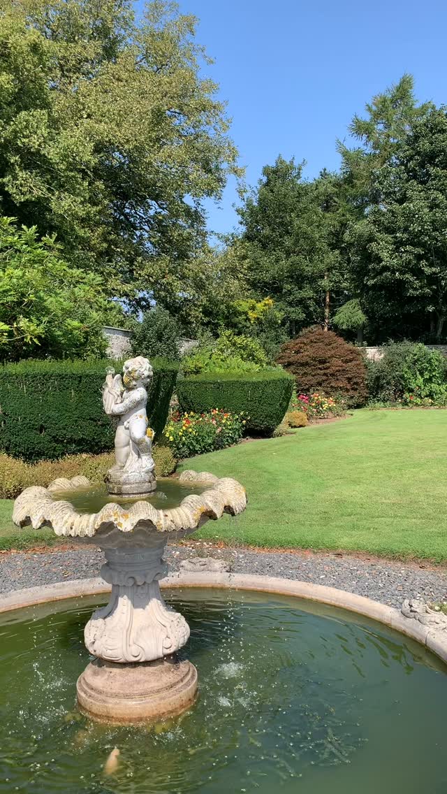 The Teacup Garden. The dahlias and roses are performing well this summer despite the heat.
If you’re interested in finding out more about our garden in South-east Scotland, you might like to read our regular blog. You can find the link in our profile bio or visit www.thescottishcountrygarden.com. Check out our latest post ‘Agapanthus and apples’.
#gardenblog #garden #thescottishcountrygarden #scottishcountrygarden #gardenbloguk #scottishgardenblog #headgardenersblog #countrygardenblog
#gardenblogger #summergarden#scottishgarden #scottishgardener #gardenjournal #scottishgardenjournal #gardendiary #gardenersdiary #oldgarden #walledgarden #oldfashionedgarden #walledgardenblog #gardeninscotland #thegardeninaugust #augustgarden
#gardenwriter #ukgarden #gardensofScotland #gardensofgreatbritain