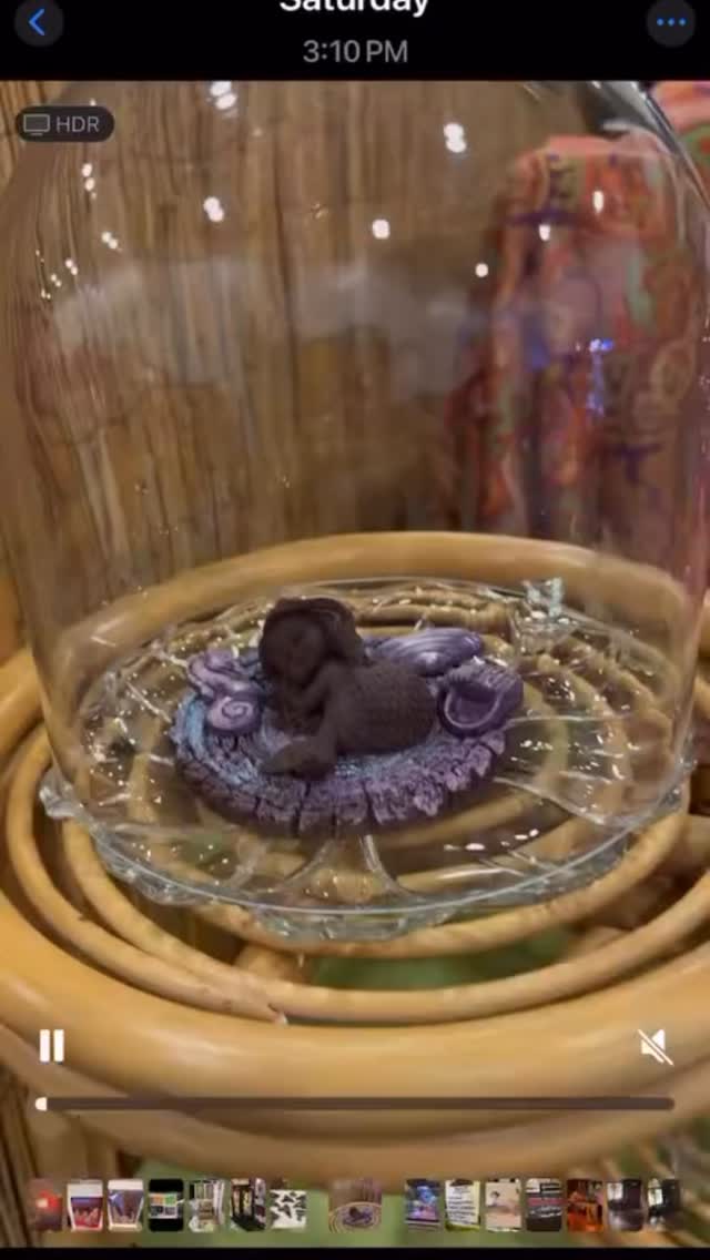 Wow, one for the books!! Thank you @xoxobabydoe, @ottovs, all of the staff and volunteers of @tikioasis, and the amazing crew of the @tikioasismarketplace! Thank you also to everyone that came out and shopped the market, or just came over to say, Hi! Thank you to my roomie @sparkleneely (we managed to find the LEAST photogenic location on the entire property to take this goodbye pic at), my friends @07freso & Jose who came down to San Diego to see me (and somehow they put themselves to work right away in my booth 💓), and all the folks who took photos and shared my chocolates - I truly appreciate all of you(especially @naj.naj2015 for the great video here in the beginning!)!! Did you miss me at the market and need your #tikichocolate fix? Message me and order some for pickup or to be shipped (shipping currently limited to California - heat+distance =melty chocolate! Boo!) Next up 8/31 Mai Tai Day at @tradervicseville (limited tix still available!) #chocolate #finechocolatemadefun #boozeinfusedbonbons #givegreatchocolate #vintagemolds #twicethevice #rum #fairtradechocolate #indiemaker #tiki #cheersto25years🍹🥂