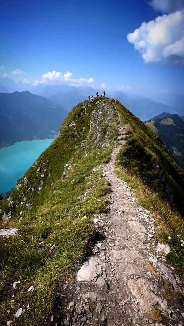 This one was a nice leg burner 🔥🔥🔥 Just gotta suck up the farm vibes to enjoy a stunning mountain range towering over the Interlaken lakes. #getoutandexplore #hiking #trails #interlaken #switzerland