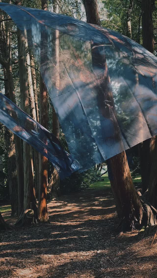 Forest Ballerinas 🍃
#artinstallations #nature #forest #art #aesthetics #creativeexpressions #natureprints #sweden #wellbeing #inspiration #artistlife #artfulliving #freedom #dancing #mindfulness #garden