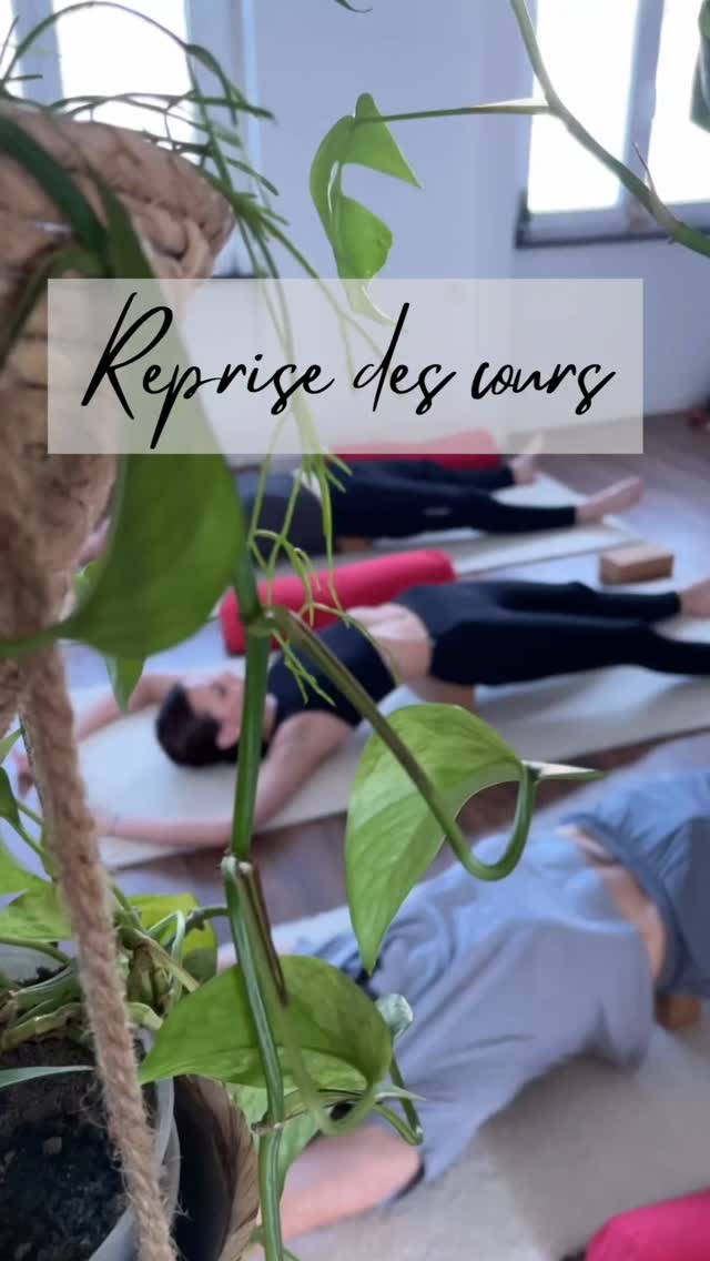 Reprise des cours ce lundi 18 août 🥰😍🐶
Retrouve ton équilibre, libère les tensions, respire profondément, médite en conscience, prend ce temps pour toi !
Il reste des places dans mes cours n'hésite pas à me contacter ou t'inscrire via le site internet !
Laura 🙏🏻❤️
#yoga #yogateacher #asana #bepresent #meditation #breathe #vinyasa