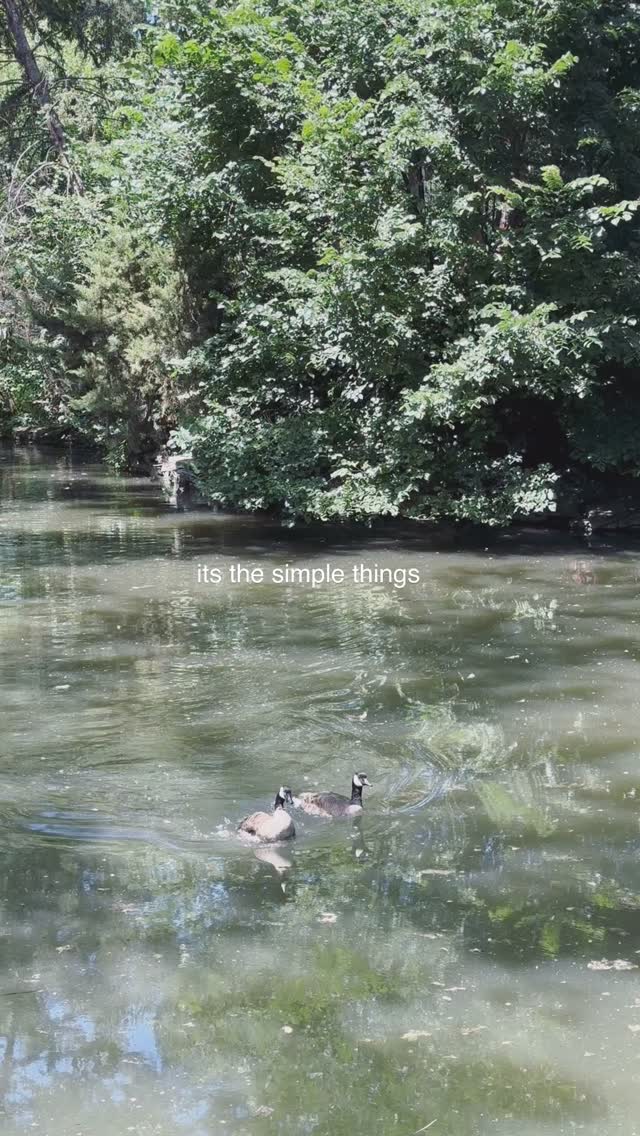 the simple things in life.