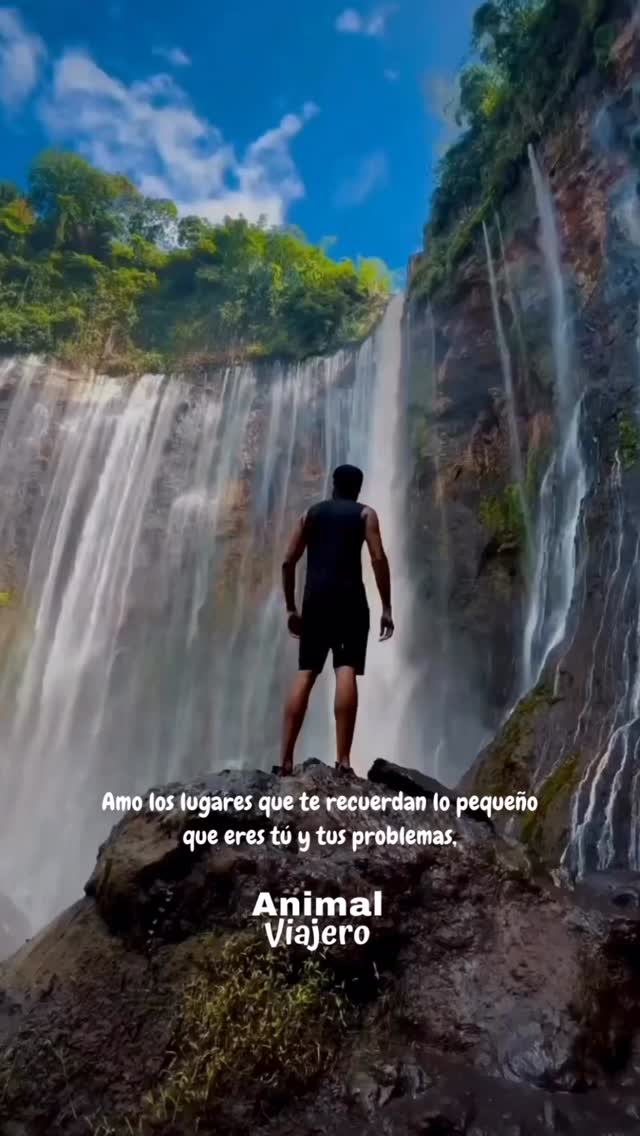 Viajar no es escapar, es aprender a poner las cosas en perspectiva… porque allá afuera el mundo es inmenso y está lleno de razones para sonreír. 🌄✈️💫
👉 ¿Listo para tu próxima aventura?
#animalviajero #agenciadeviajes #travel #viajes #viajeros #quotesviajes #viajerosporelmundo #motivational #motivacion