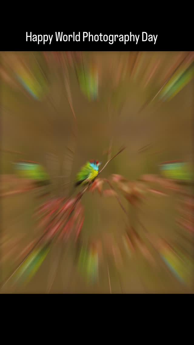 They see the frame — the light, the moment, the mood. What they don’t see are the early mornings, the long waits, the failed shots, and the silent conversations with light and landscape. Here’s to the unseen side of photography. Happy World Photography Day.
.
#WorldPhotographyDay #BehindTheLens #VisualStorytelling #PhotographersLife #ChasingLight #momentsmatter