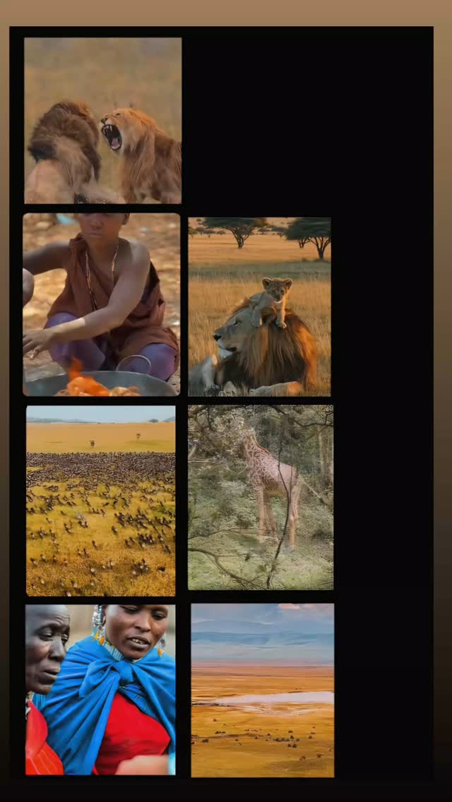 Come and explore the best of Tanzania with Maasinda Safari Tours.
#serengetinationalpark #ngorongoroconservationarea #lakenatronexpedition #tanzania
Reach us on www.maasindasafaritours.com