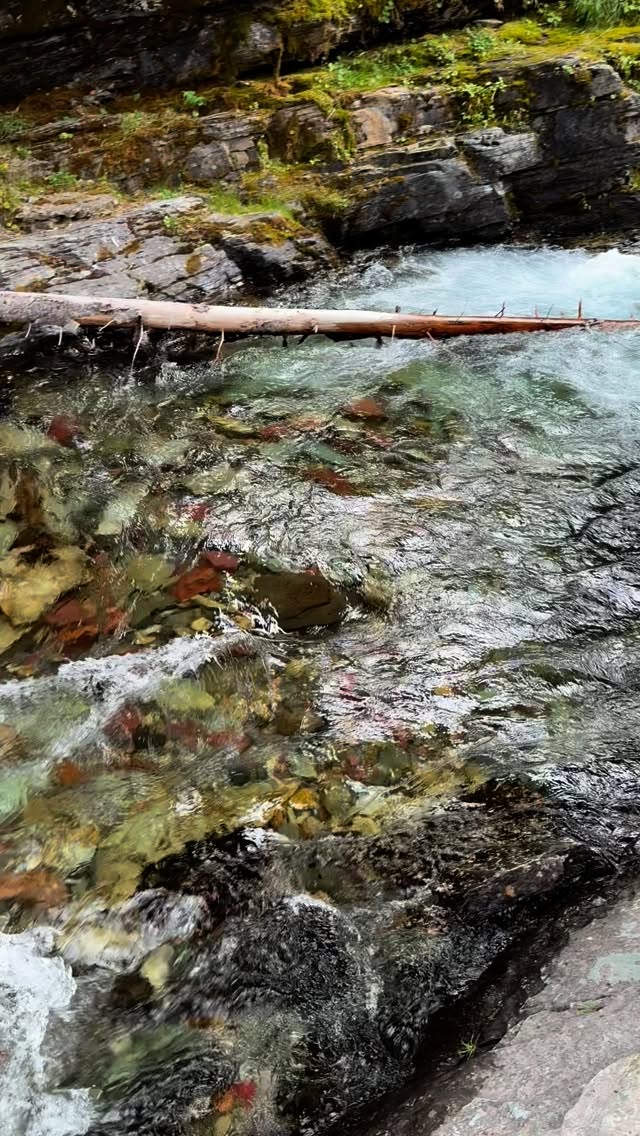_______________________________
Take less
Give more
To the Earth
To each other
🍃🍃🍃🍃
.
.
.
.
.
.
.
.
.
#MontanaMagic #GlacierNationalPark #BigSkyCountry #MotherEarth #SacredLand #GiveBackToNature #NatureHeals #EarthWisdom #KindnessMatters #TakeLessGiveMore #SacredConnection #NatureAsTeacher #Montana #ProtectPublicLands