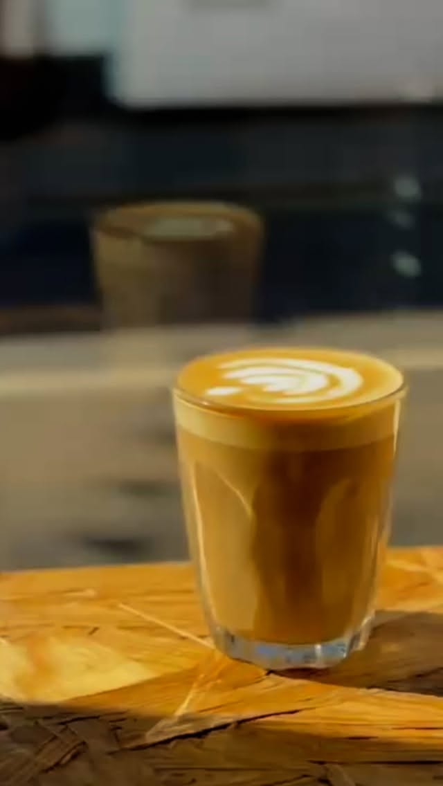 Community community community 💕💕💕
Thanks to everyone who partied with us during our summer season of events - authors, writers, poets, musicians, artists - some unbelievable names came all the way down to our little town 😭❤️ but the best part was, and is, always leaning more into our community 💜 join us from September when we do it all over again! Sign up to our mailing list to see what we have coming up…
Free Palestine 🇵🇸 Free Palestine 🇵🇸 Free Palestine 🇵🇸